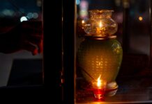 Tự tâm thường chiếu