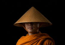 Gió đời cứ lay